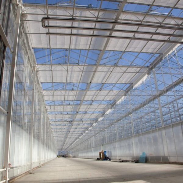 Corridor in een kas met zicht op door Alcomij geëngineerde kasconstructieonderdelen zoals kolommen, goten, kasroedes, gevelroedes en kasdeksysteem