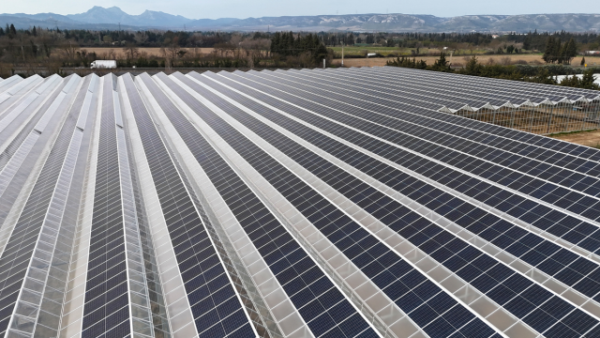 Alcomij Solar Kasdeksysteem voor kassen