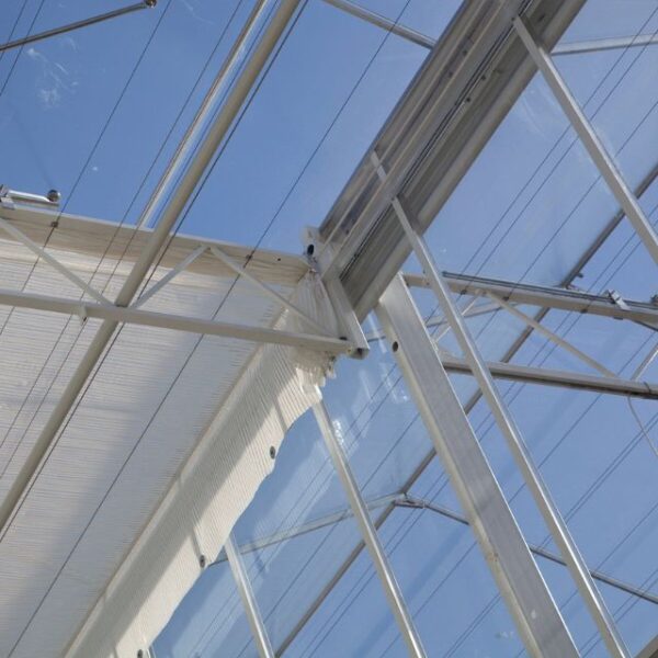 Detail van een kasdeksysteem van Alcomij met zicht op kolommen, goten, kasroedes en gevelroedes, ontworpen voor optimale sterkte en lichtinval