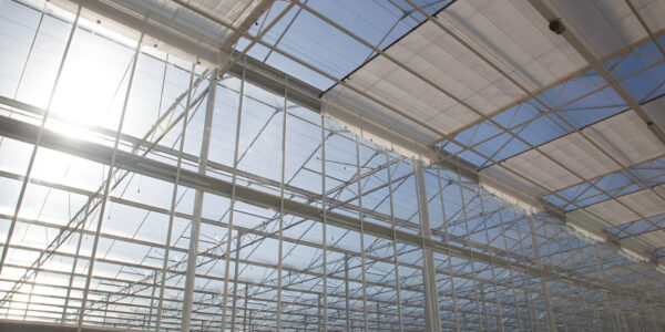 Kasdeksysteem van Alcomij op een moderne kas, ontworpen met 3D-engineering en berekend volgens internationale normen