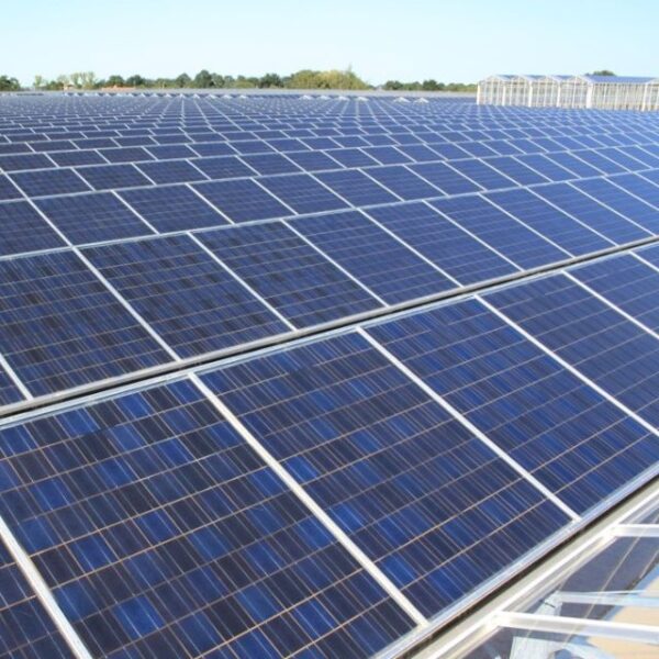 Solar kasdeksysteem van Alcomij met geïntegreerde zonnepanelen, ontworpen voor duurzame energieopwekking en optimale teelt in de glastuinbouw.