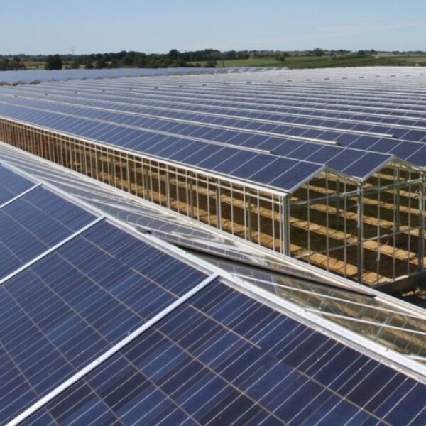 Solar kas van Alcomij met geïntegreerde zonnepanelen in het kasdeksysteem voor duurzame energieopwekking en optimale teeltomstandigheden.