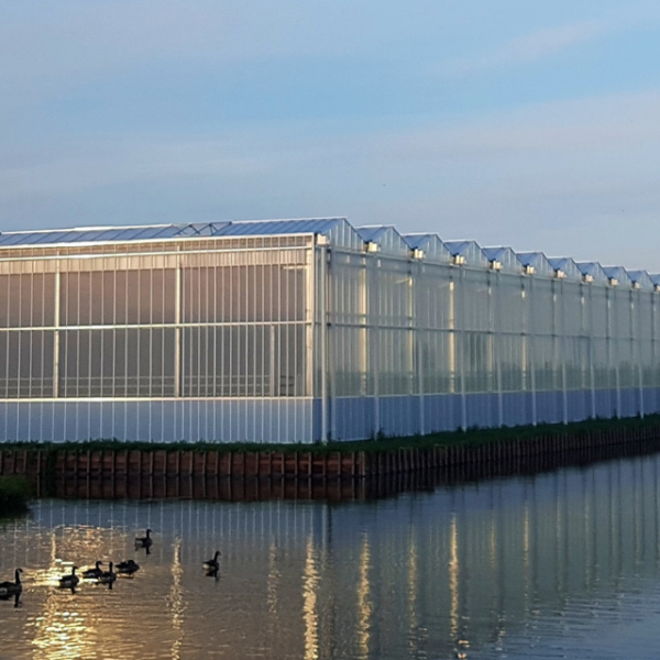 OptiNova kasproject met innovatieve kasdeksystemen van Alcomij